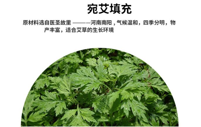 廠家直銷 艾絨養(yǎng)生頸椎枕 陳艾葉粗布枕頭 家用批發(fā) (5).jpg