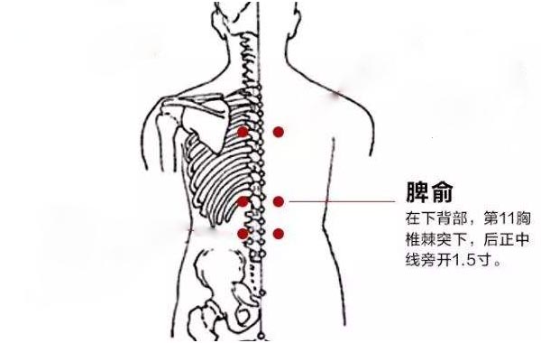 脾俞穴.jpg