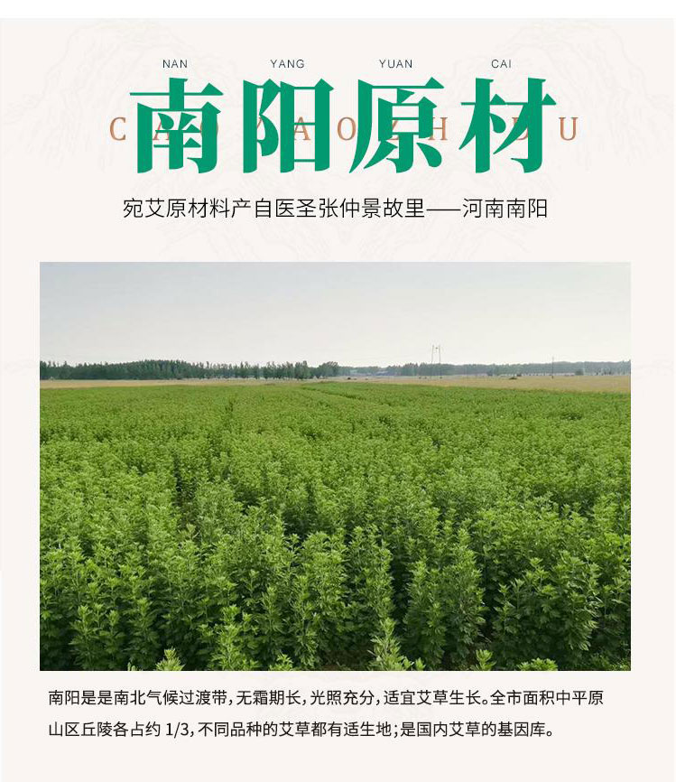 宛艾 純艾葉艾絨艾柱 隨身灸專(zhuān)用艾柱 家用艾柱正品 (4)宛艾陳艾柱原材料產(chǎn)自醫(yī)圣張仲景故里.jpg